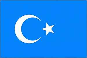 dogu_turkistan_bayrak