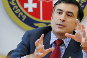 «Ақ жол» Саакашвилидің үлгісі бойынша экономикалық реформаларды ұсынды