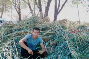 Батысқа шөп жеткізіп жатқан 24 жастағы Құрмет Талапқазы туралы не білеміз