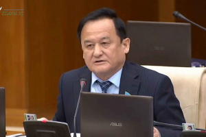 БАРЛЫҚ ШЫНДЫҚ АШЫҚ АЙТЫЛЫП, КІНӘЛІЛЕР ЖАЗАЛАНУЫ ТИІС! - Қазыбек Иса