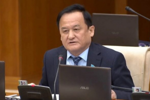 Шығармашылық одақтарды қаржыландыру заңмен бекітіледі – Қазыбек Иса