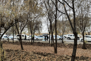Жүргізуші алматылық әйелді қағып өлтіріп, оқиға орнынан қашып кеткен