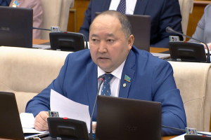 Мәжіліс депутаты халыққа тиесілі жерлерді иемденіп алғандардың атын атауды талап етті