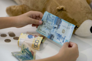 Әкімдіктер халықтың тұрмысын жақсартуға бөлінген 204,8 млрд теңгені игермеген
