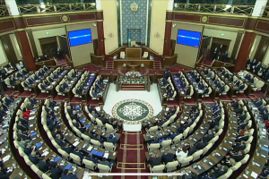 Тоқаев: Үкіметті жеңіске жеткен партия жасақтайды, жауапкершілік те сол партияға жүктеледі