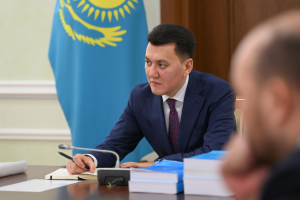 Ерлан Қарин Қазақстан тарихының көптомдығын әзірлеу бойынша кеңес өткізді