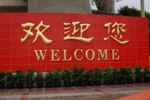 СІМ ресми өкілі: Қытаймен визасыз режим Қазақстанға да тиімді болмақ