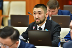 «Ақ жол»: Мүгедектер спортына қамқорлық қажет