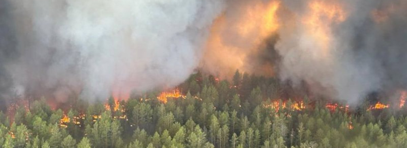 Төтенше жағдай министрлігіне төтенше реформа керек!