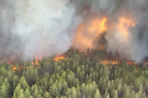 Төтенше жағдай министрлігіне төтенше реформа керек!