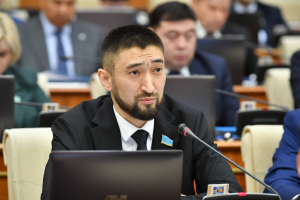 "Ақ жол": 4 пайызбен автонесие беруді жалғастырып, утильалымды тоқтату керек