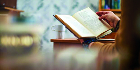 HD бейнедегі түкті аяқтар