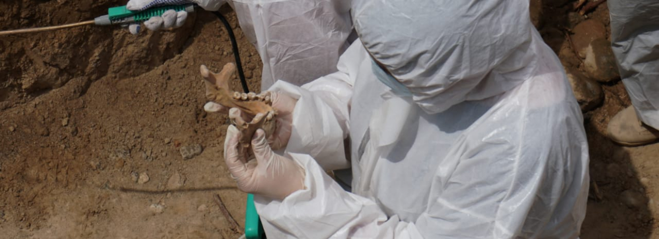 ҚазҰУ ғалымдары сот археологиясының қалыптасуына қатысуда