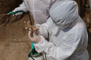 ҚазҰУ ғалымдары сот археологиясының қалыптасуына қатысуда