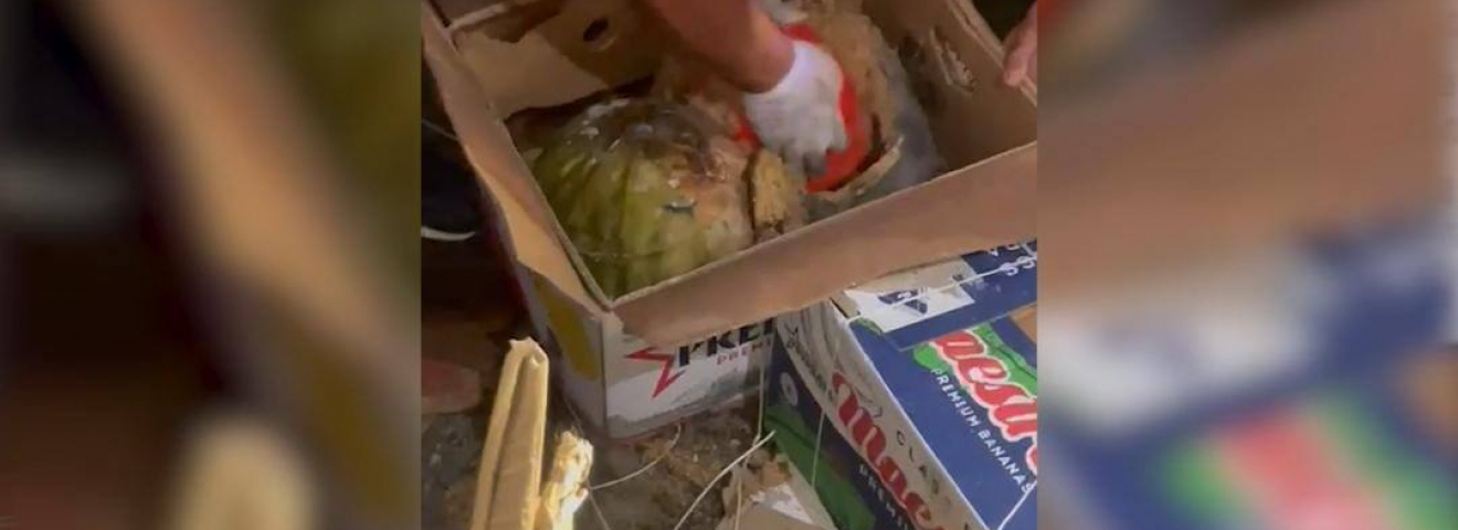 Павлодар облысында жүк көлігіндегі қарбыздың арасынан құны 2,5 млн доллардан асатын есірткі табылды