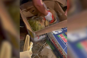 Павлодар облысында жүк көлігіндегі қарбыздың арасынан құны 2,5 млн доллардан асатын есірткі табылды