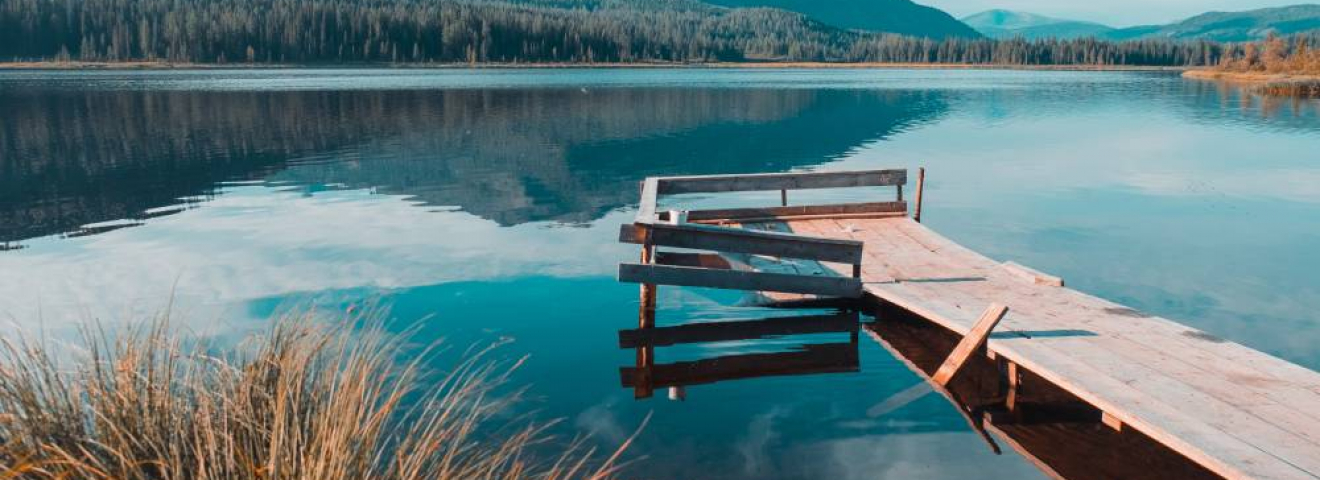 Артта қалып келеміз. Тоқаев туризм саласы жайында