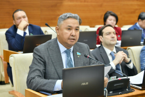 Азат Перуашев Үкіметке энергетикалық машинажасауды ұйымдастыруды қайта ұсынды