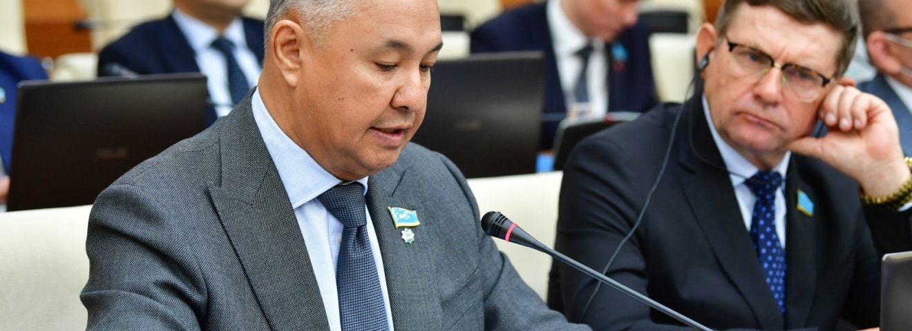 "Мемлекет пен қоғамды қорлау": "Ақ жол" фракциясы Үкіметтің есебіне қарсы дауыс берді