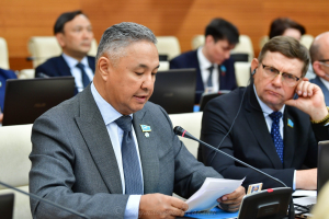 "Мемлекет пен қоғамды қорлау": "Ақ жол" фракциясы Үкіметтің есебіне қарсы дауыс берді