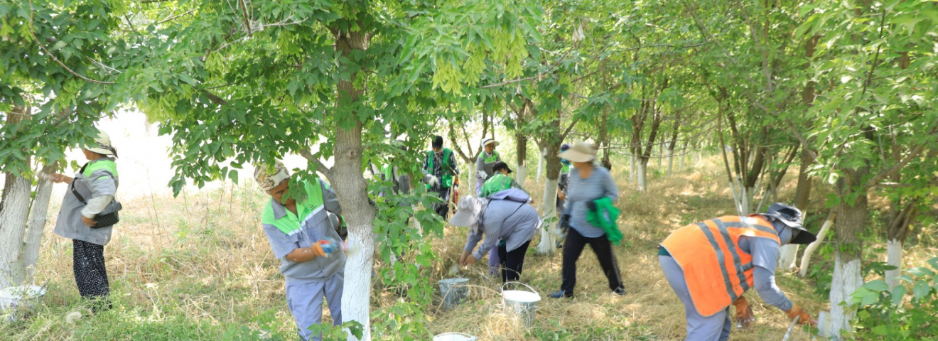 «ТАЗА ҚАЗАҚСТАН»: ТҮРКІСТАН ОБЛЫСЫНДА «ҮЛГІЛІ АУЫЛ» ЖОБАСЫ ЖҮЗЕГЕ АСУДА