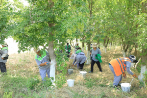 «ТАЗА ҚАЗАҚСТАН»: ТҮРКІСТАН ОБЛЫСЫНДА «ҮЛГІЛІ АУЫЛ» ЖОБАСЫ ЖҮЗЕГЕ АСУДА
