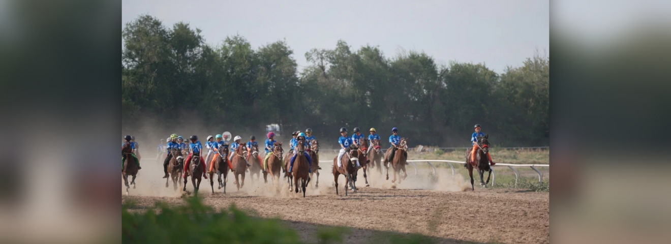 Дүниежүзілік көшпенділер ойындарындағы бәйгеге шабатын аттар белгілі болды