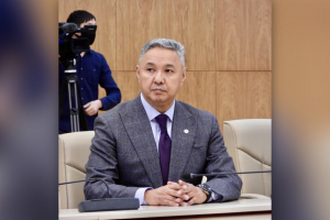 Азат Перуашев: Шенеуіктер мемлекеттік сатып алуда түрлі "сиқырлар" ойлап табуда