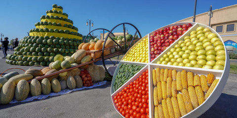 ТҮРКІСТАН ОБЛЫСЫНЫҢ АУЫЛ ШАРУАШЫЛЫҒЫ ҚЫЗМЕТКЕРЛЕРІ КҮНІНЕ ОРАЙ «AGROFEST TÚRKISTAN - 2024» САЛТАНАТТЫ ШАРАСЫ ӨТУДЕ