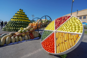 ТҮРКІСТАН ОБЛЫСЫНЫҢ АУЫЛ ШАРУАШЫЛЫҒЫ ҚЫЗМЕТКЕРЛЕРІ КҮНІНЕ ОРАЙ «AGROFEST TÚRKISTAN - 2024» САЛТАНАТТЫ ШАРАСЫ ӨТУДЕ