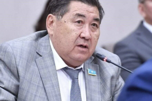 Депутат «қос билік» туралы алып-қашпа сөзді жоққа шығарды