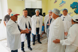 ЖЫЛЫ ЖҮЗДЕСУЛЕР ЖАЛҒАСЫН ТАПТЫ