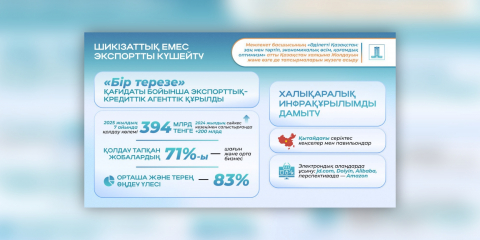 Президент жолдауындағы тапсырмаларды орындау: шикізаттық емес экспортты қаржылай қолдау көлемі 394 млрд теңгеге жетті