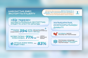 Президент жолдауындағы тапсырмаларды орындау: шикізаттық емес экспортты қаржылай қолдау көлемі 394 млрд теңгеге жетті
