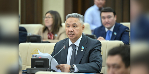 "Ақ жол" демпартиясы салықтық тәуекелдердің құпия критерийлерін жоюды талап етеді