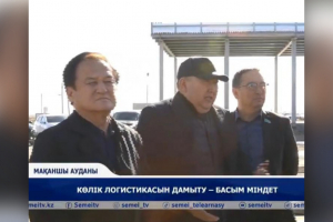 Кеден керегесін кеңейтуде кедергілер көп - “Ақ жол”