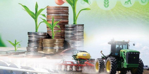 Ауыл шаруашылығының жалпы өнім көлемі 3,4%-ға өсіп, 3,6 трлн теңгеге жетті