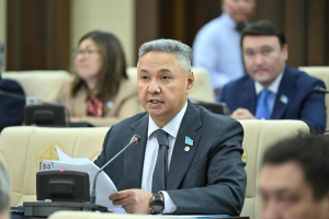 Ұлттық компаниялар мен мемхолдингтер БАРЛЫҚ ТАБЫСЫН бюджетке аудару керек - "Ақ жол"