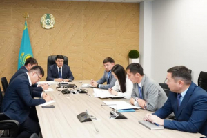 Түркістан облысында инвестиция тарту және кәсіпкерлікті дамыту мәселелері қаралды