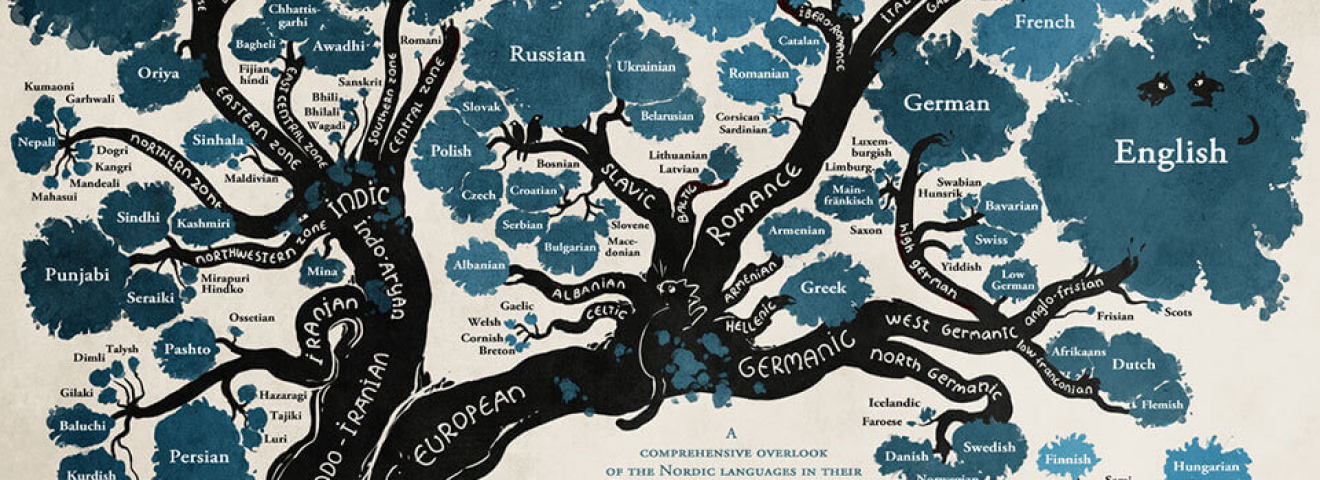 Зарождение языка, первичные слова и праязык