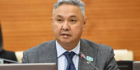 "Адал шағын кәсіпкерлер зардап шегеді" - "Ақ жол" Үкіметке ұсыныс жолдады