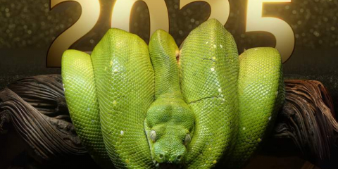 Итоги 2025 года: мудрость змеи оберегает Казахстан