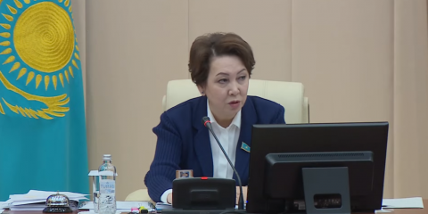 Жаңа Конституция мемлекеттіліктің жаңа кезеңінің негізіне айналады – Дания Еспаева