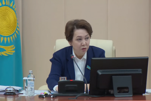 Жаңа Конституция мемлекеттіліктің жаңа кезеңінің негізіне айналады – Дания Еспаева