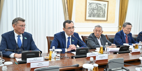 Сенат Төрағасы: Мемлекет басшысының конституциялық реформасы – мемлекет құрылысын дамытудың жаңа кезеңі