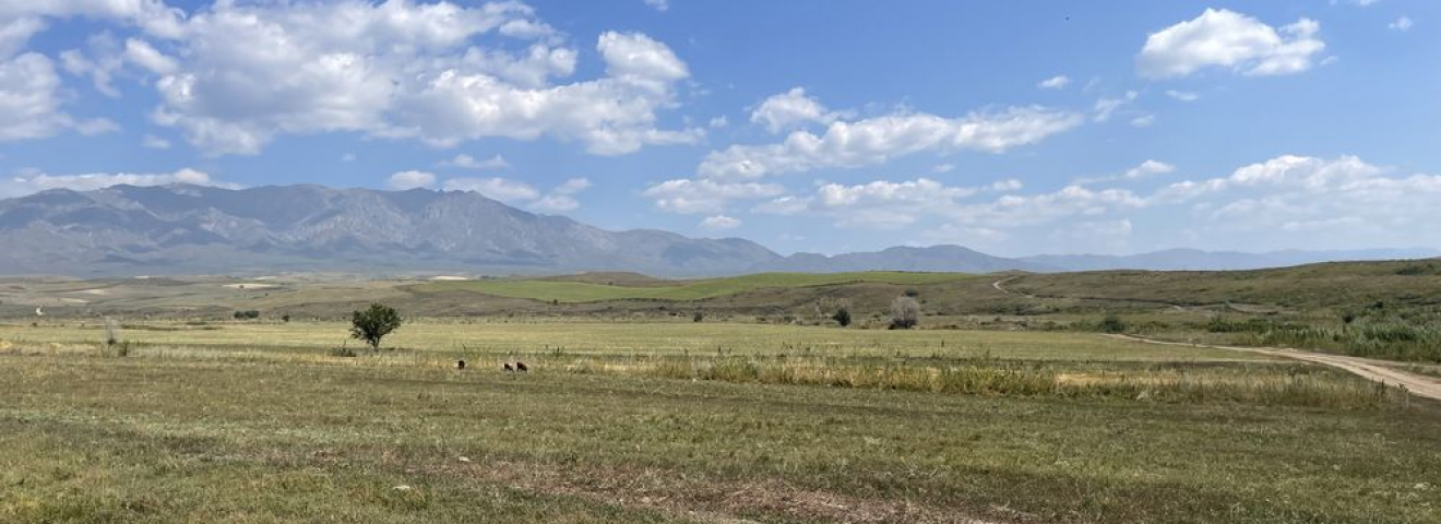 Шетелдіктерге жер сатуға тыйым салудың күшін жою туралы мәлімдемелердің құқықтық негізі жоқ