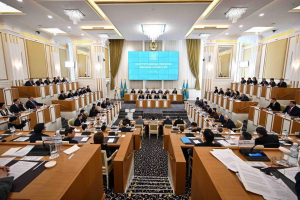 Жаңа Конституция жобасы: адам құқықтары қағида емес, нақты кепіл болуға тиіс