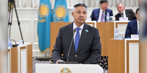 Жаңа Конституцияға меншік нысандары туралы маңызды жаңашылдық ұсынылды