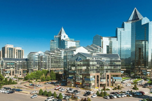 АЛМАТЫ кімнің қаласы