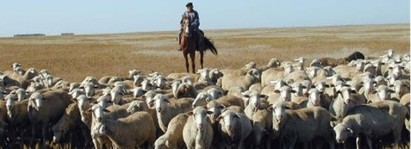 Біз мал баққан елміз...